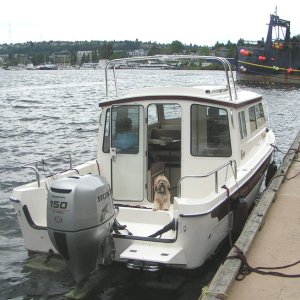 Media '(Pat Anderson) - Ivar's Salmon House Dock, Lake Union - Stern View with Dog' in album '(Pat Anderson) - In the Driveway in Fall City'