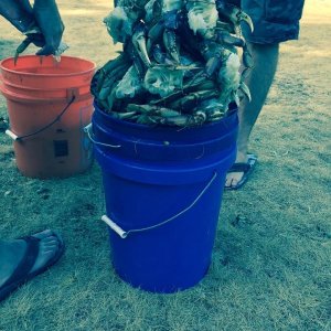 Crabbing w/ a bunch of guys from work