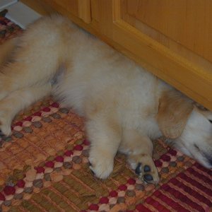 I wish he'd have slept like this last night.