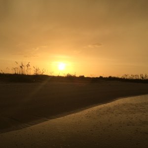 Media 'Sunset over the dunes after a good rain.' in album 'The famous \"dome home\" off of Romano Shoals'