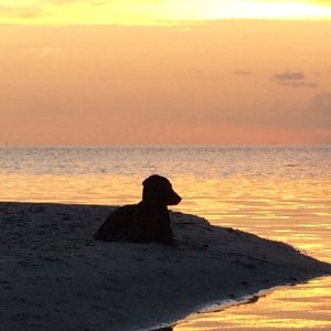 Quiet time.....
