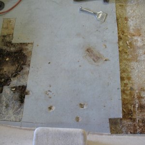 Media 'may 13, 2011 006 - went "holesaw probing" and found extensive balsa rot & where it looked good/factory was still damp.' in album 'c-dory 001 forlorn/forgotten in the ghetto'