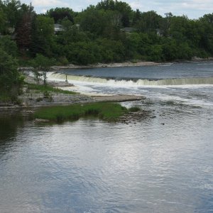 IMG 1546