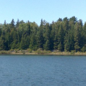 08302008044