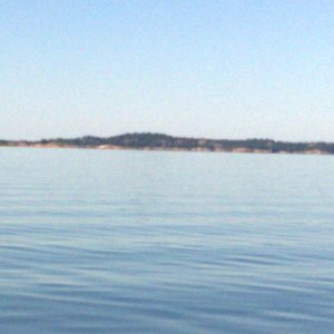 08312008048