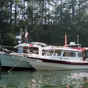 Media 'Daydream and Traveler at Matia Cove - Another Shot 7-18-10' in album 'Patty and Daydream Ready to Leave Bellingham 7-18-10'