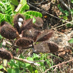 If you hike, use plenty bug juice and don't step off of the trail.
