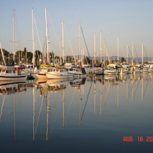 C-Dorys at P Dock