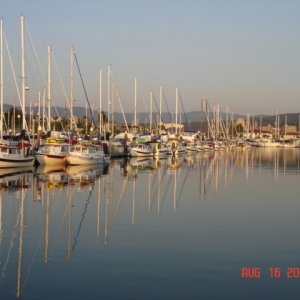 C-Dorys at P Dock