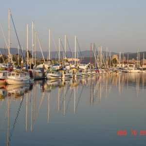 C-Dorys at P Dock