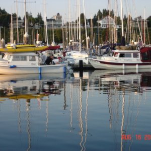 Media 'C-CHANGE & KINGFISHER' in album 'Just one of several pilings 
posted for the arrival of the
C-Brats this coming weekend.'