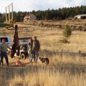 Media 'Oct 16 2007 elk -- 220 yds from the house -- and the first picture of the new ride...no, not the Ranger nor the John Deere!' in album 'Merry Fishmas'