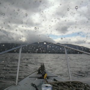 A rainy day in Southeast Alaska