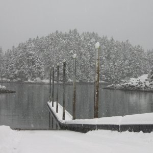 Amalga Harbor