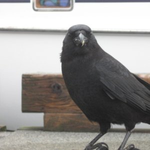 What are you looking at?