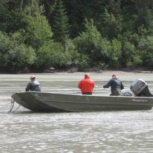 Picking the gill net