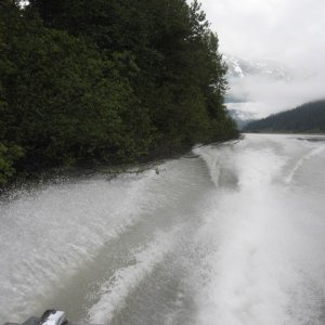 Taku River is low this year...equals good fishing