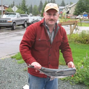 77 pounds of sockeye