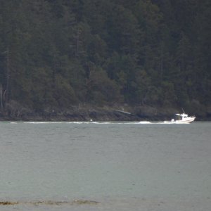 16 Cruiser heading up Harney Channel