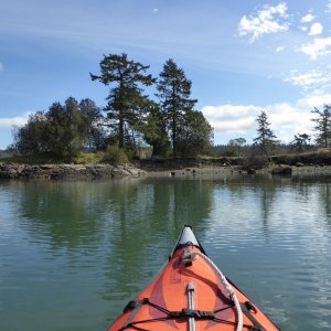 A tranquil Blind Bay