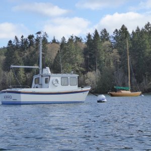 A salty looking 20 footer in Blind Bay - anyone know the make?