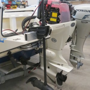 Trolling motor on swimstep.
