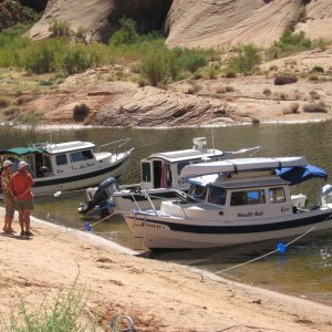 Oak canyon