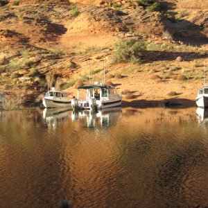 Media 'pod on the beach' in album 'Rainbow bridge'