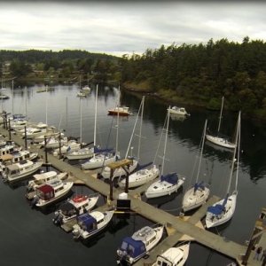 Media '' in album 'Friday Harbor 2014'