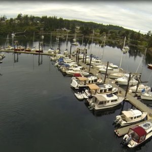 Media '' in album 'Friday Harbor 2014'