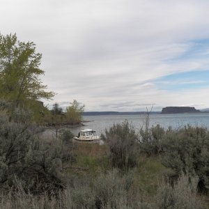 Media 'I found a crescent shaped bay and "dropped anchor" between boulders on the point and tied a stern line to the cottonwood.  Kept me off the beach even when the wind howled that night.' in album 'Leaving the Columbia and heading towards Coulee City.'