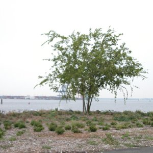 DSCN0349
