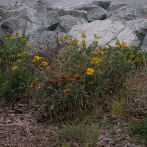 DSCN0351