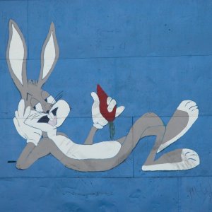 A local artist painted this on a derelict warehouse door behind the WVEC-TV station. This warehouse has since been raised.