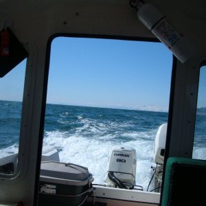 Kachemak Bay June 05