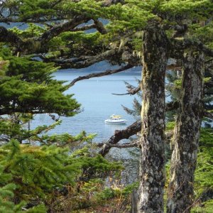 Bass Harbor Naked Island