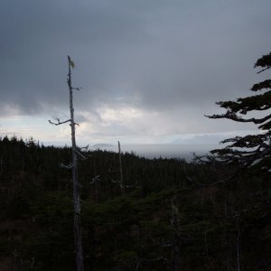 Naked Island Overlook