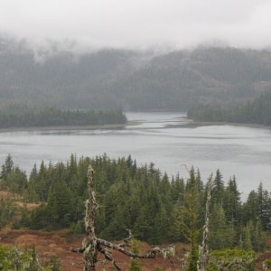 Olsen Cove from Olsen Island