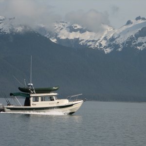 Slow cruise Orca Inlet