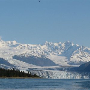 College Fiord