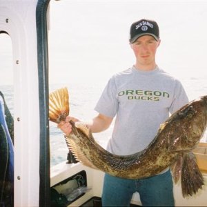 Ling Cod