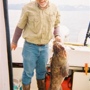 Bigger Ling Cod