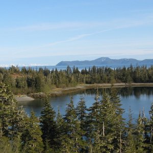 Olsen Cove looking toward Naked Island