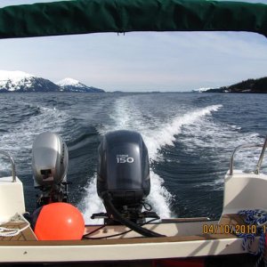 Media 'Bidarka II First Voyage' in album 'Long Bay Jul 4'