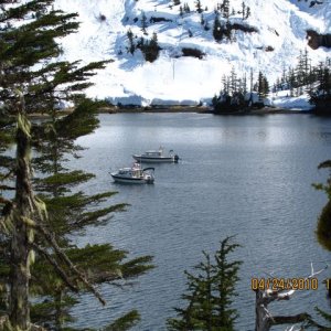 Cochrane Bay