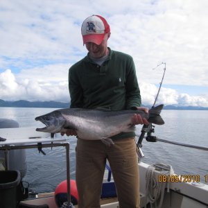 Silver Salmon