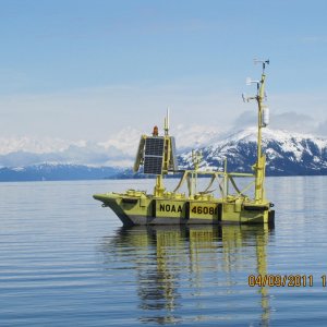 New Buoy 81 Port Wells