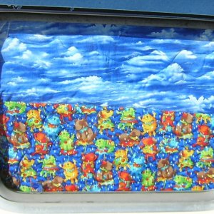 (Jeff and Diane) Curtians \"Raining Cats & Dogs\"