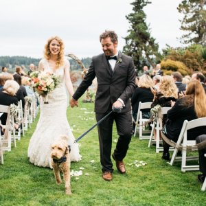 Media '' in album 'Just Married'