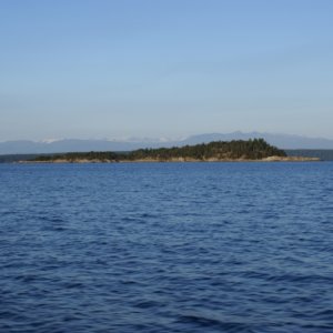 Copeland Islands DSC00919